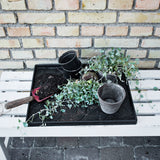 SHOE TRAY MEDIUM - GRAPHIC