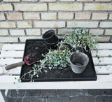 SHOE TRAY SMALL - GRAPHIC