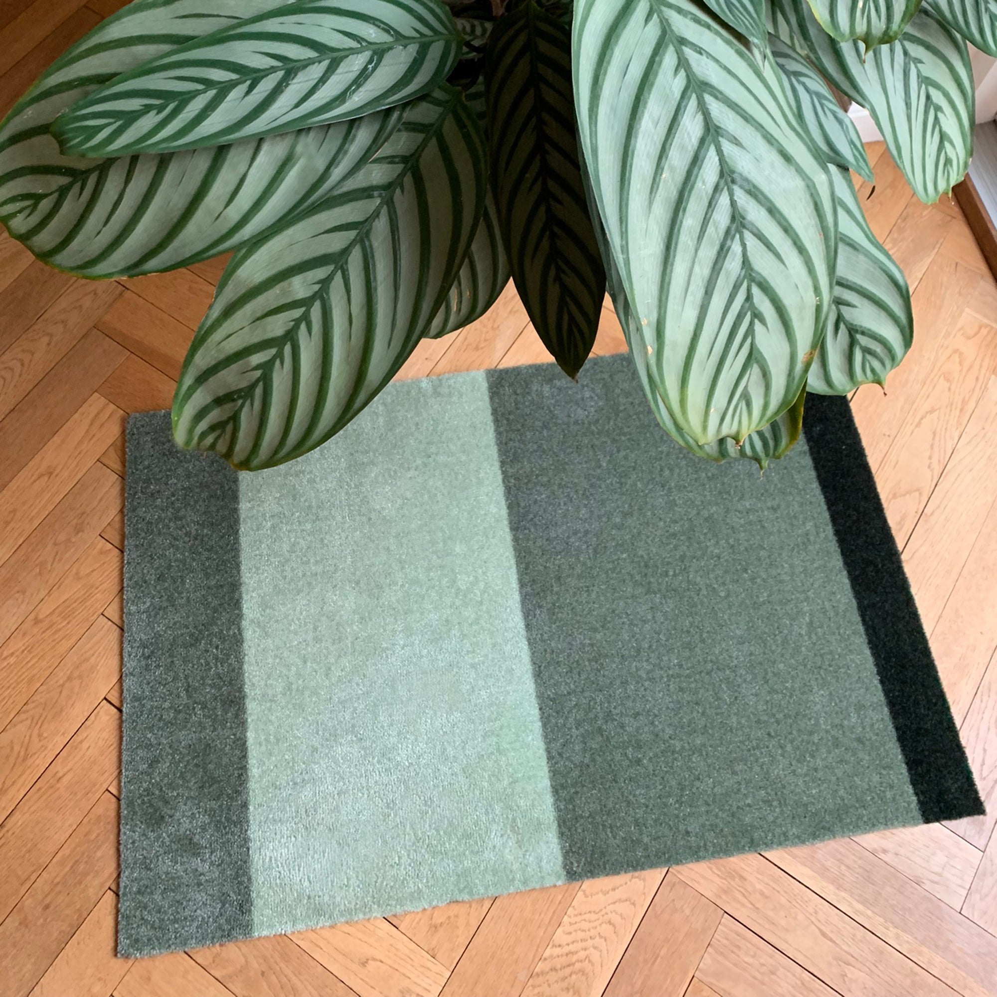 STRIPES HORIZONTAL - LIGHT/DUSTY/DARK GREEN